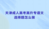 天津成人高考高升专语文选择题怎么做