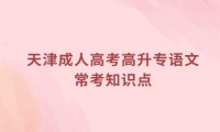 天津成人高考高升专语文常考知识点