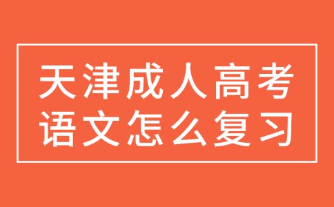 天津成人高考语文怎么复习