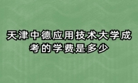 天津中德应用技术大学成考的学费是多少