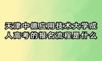 天津中德应用技术大学成人高考的报名流程是什么