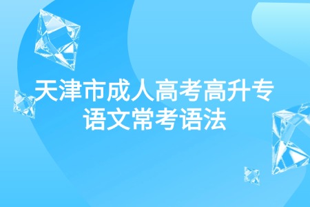 天津市成人高考高升专语文常考语法