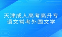 天津成人高考高升专语文常考外国文学