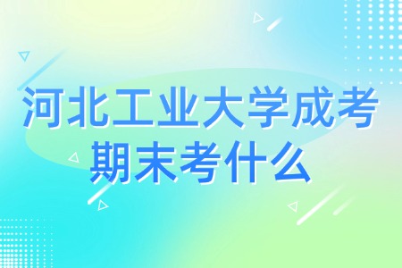 河北工业大学成考期末考什么