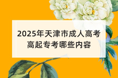 2025年天津市成人高考高起专考哪些内容