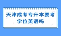 天津成考专升本要考学位英语吗