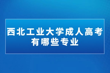 西北工业大学成人高考有哪些专业