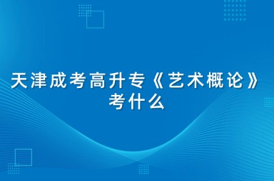 成考1天津成考高升专《艺术概论》考什么