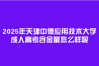 2025年天津中德应用技术大学成人高考含金量怎么样呢