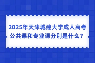 2025年天津城建大学成人高考公共课和专业课分别是什么？