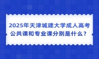 2025年天津城建大学成人高考公共课和专业课分别是什么？