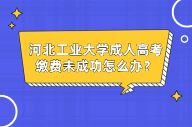 2025年河北工业大学成人高考缴费未成功怎么办？