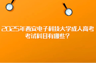 2025年西安电子科技大学成人高考考试科目有哪些？