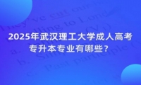 2025年武汉理工大学成人高考专升本专业有哪些？