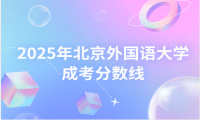 2025年北京外国语大学成考分数线