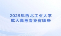 2025年西北工业大学成人高考专业有哪些？