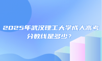 2025年武汉理工大学成人高考分数线是多少？