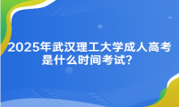 2025年武汉理工大学成人高考是什么时间考试？