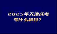 2025年天津成考考什么科目？