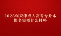 2025年天津成人高考专升本报名需要什么材料
