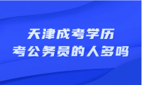 天津成考学历考公务员的人多吗