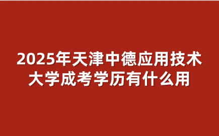 天津中德应用技术大学成考