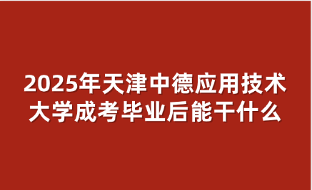 天津中德应用技术大学成考