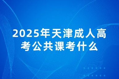 2025年天津成人高考公共课考什么