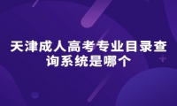 天津成人高考专业目录查询系统是哪个