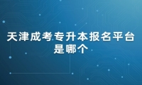 天津成考专升本报名平台是哪个