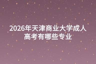 2026年天津商业大学成人高考有哪些专业