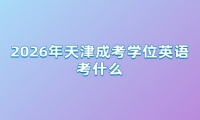 2026年天津成考学位英语考什么