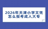 2026年天津小学文凭怎么报考成人大专