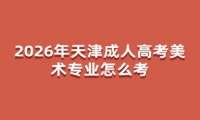 2026年天津成人高考美术专业怎么考