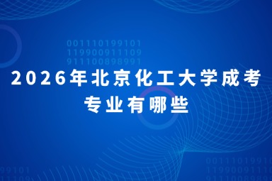 2026年北京化工大学成考专业有哪些