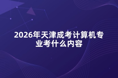 2026年天津成考计算机专业考什么内容