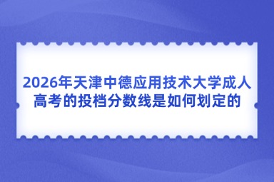 2026年天津中德应用技术大学成人高考的投档分数线是如何划定的
