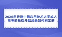 2026年天津中德应用技术大学成人高考的投档分数线是如何划定的