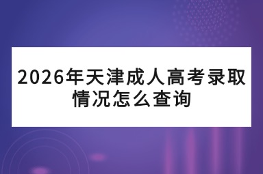 2026年天津成人高考录取情况怎么查询 2026年天津成人高考录取情况怎么查询