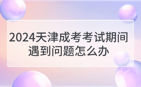 2024天津成考考试期间遇到问题怎么办